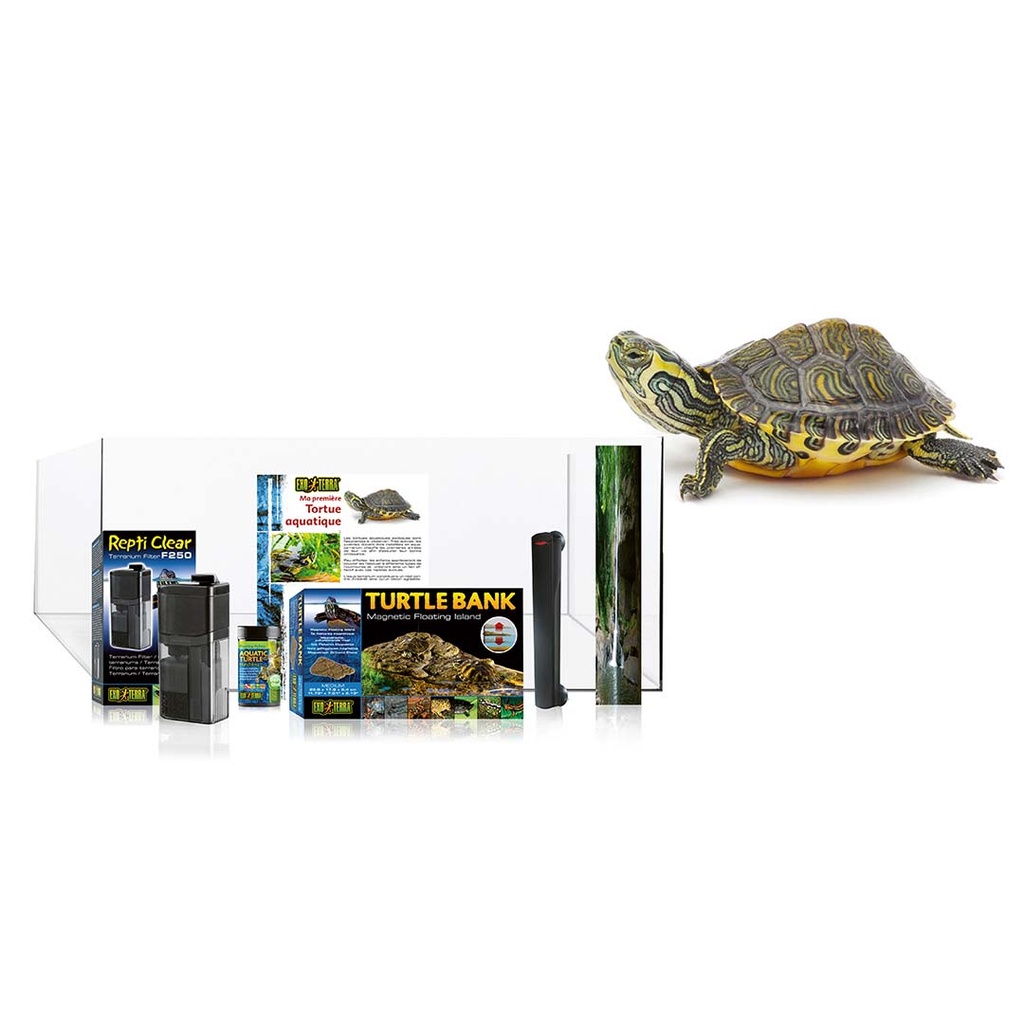 EX kit terra water turtle