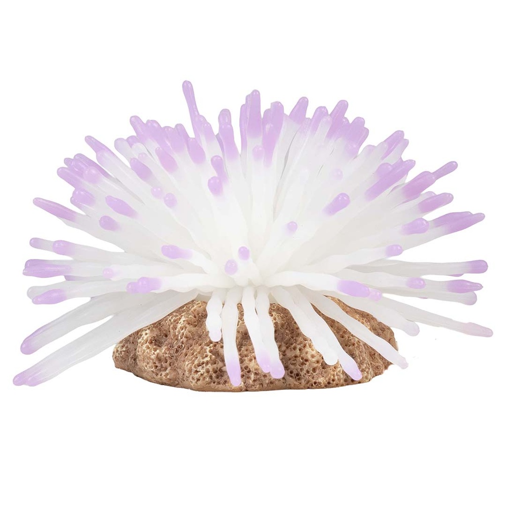 Plastic plant anemone