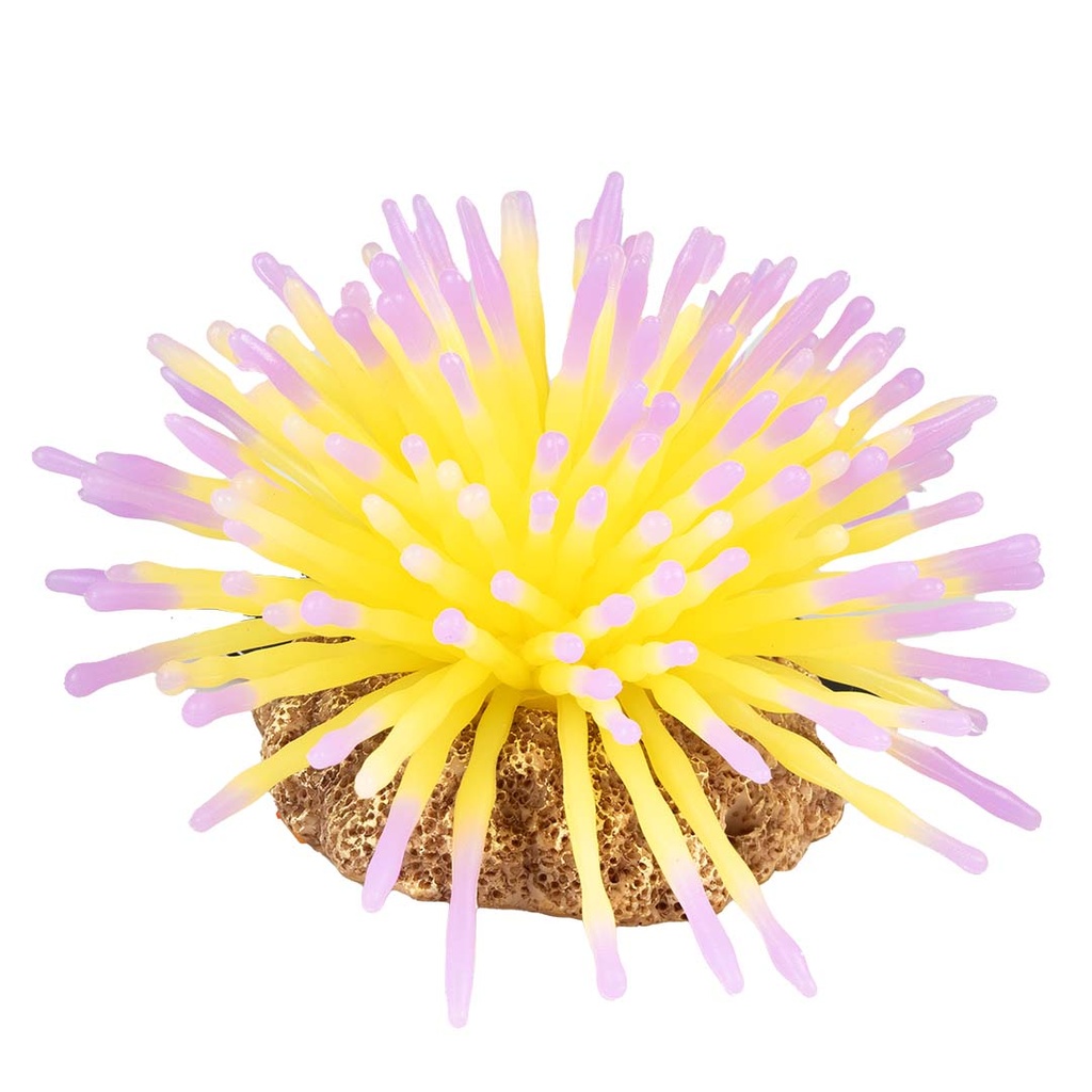 Plastic plant anemone