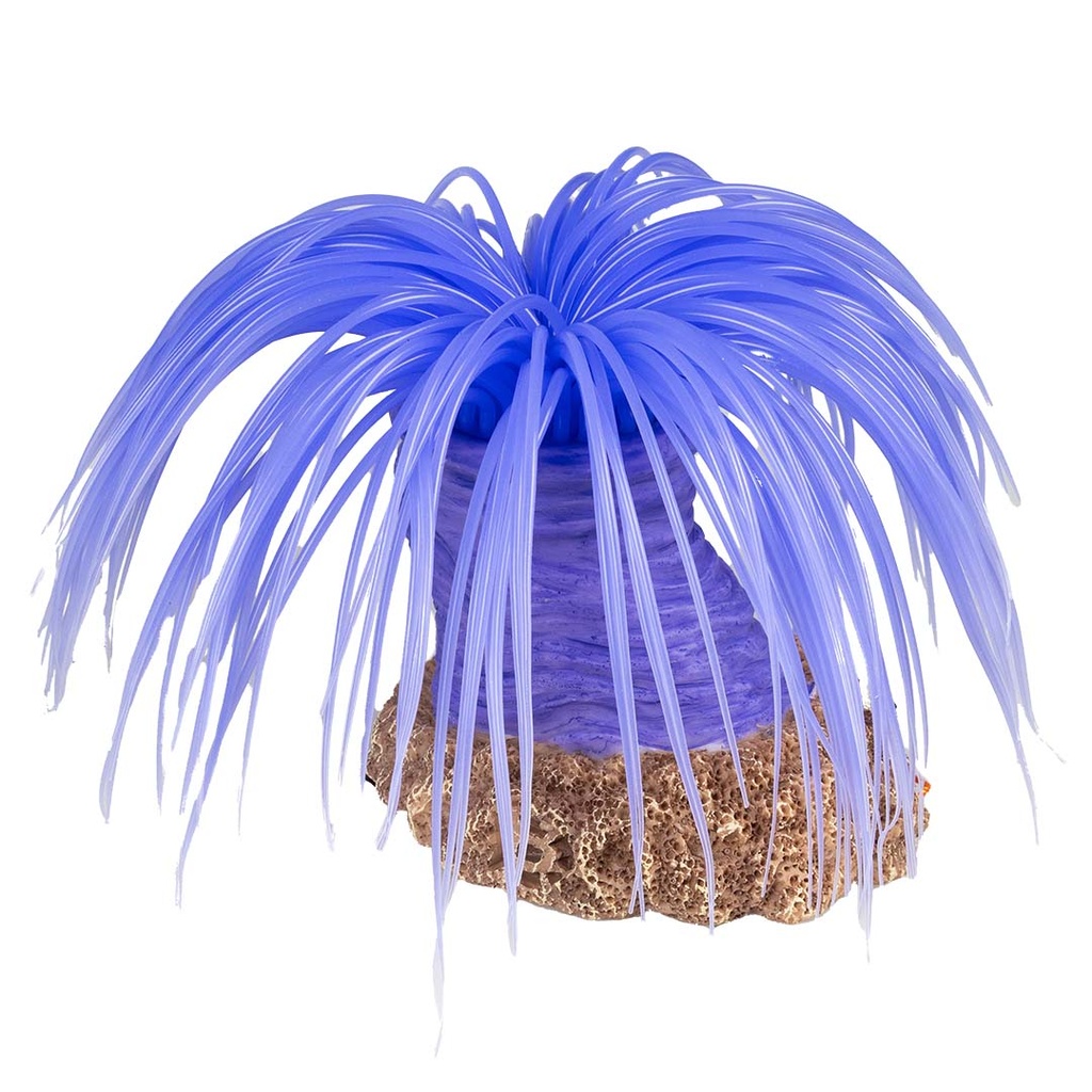 Plastic plant anemone cerianthus