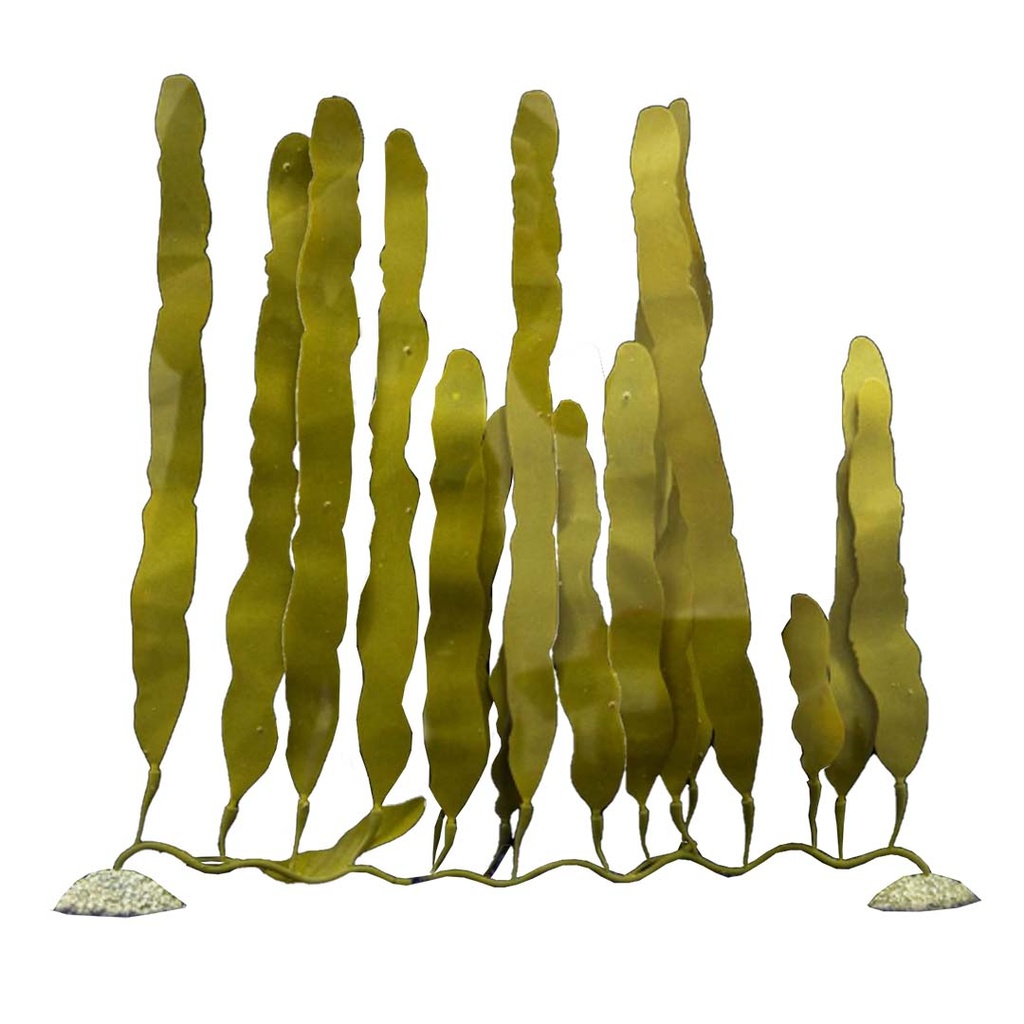 Plastic plant caulerpa