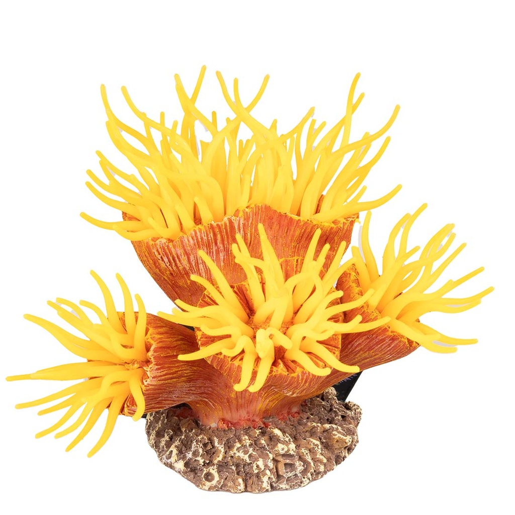 Plastic plant euphyllia