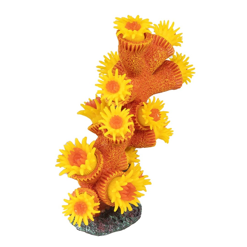 Plastic plant tubastrea