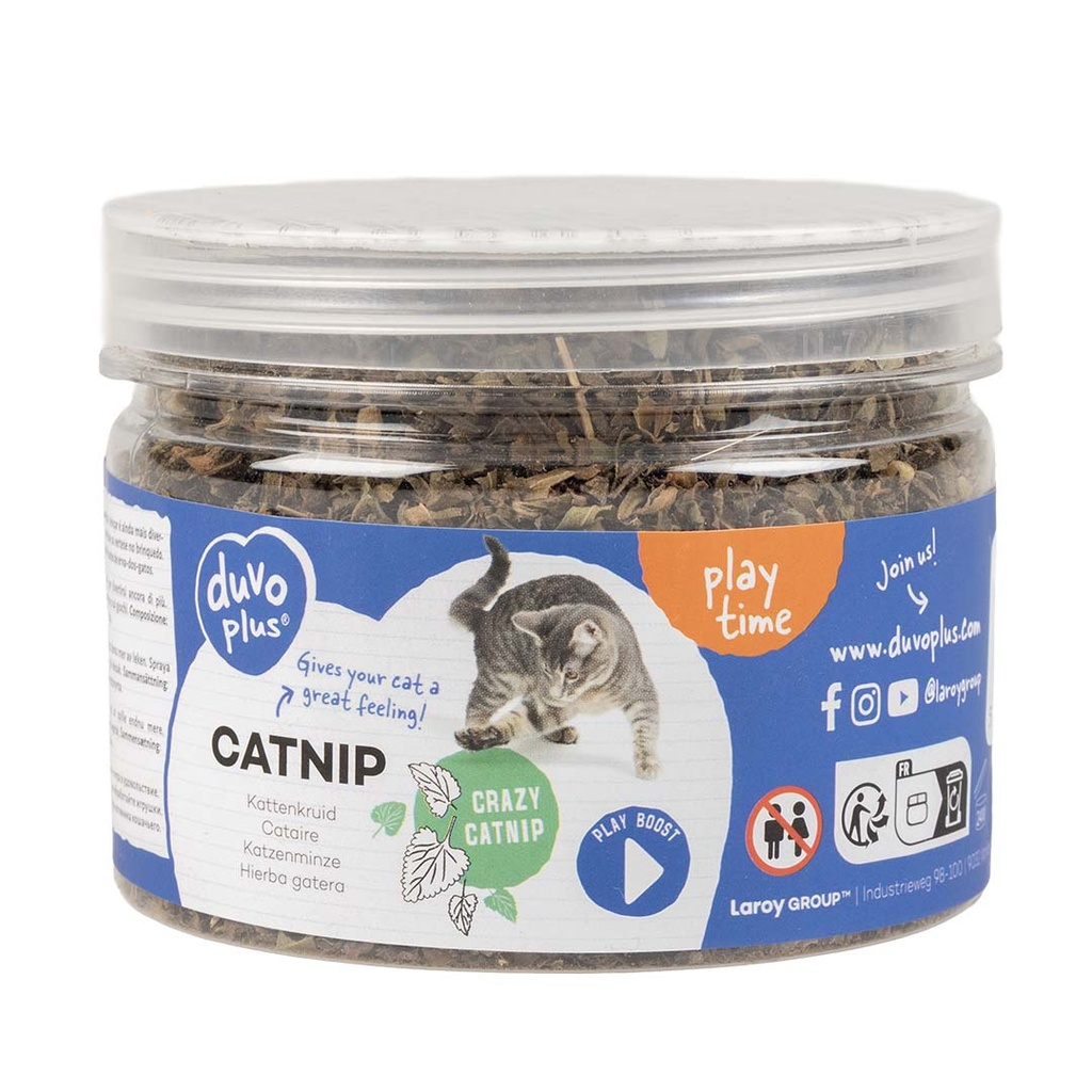 Catnip