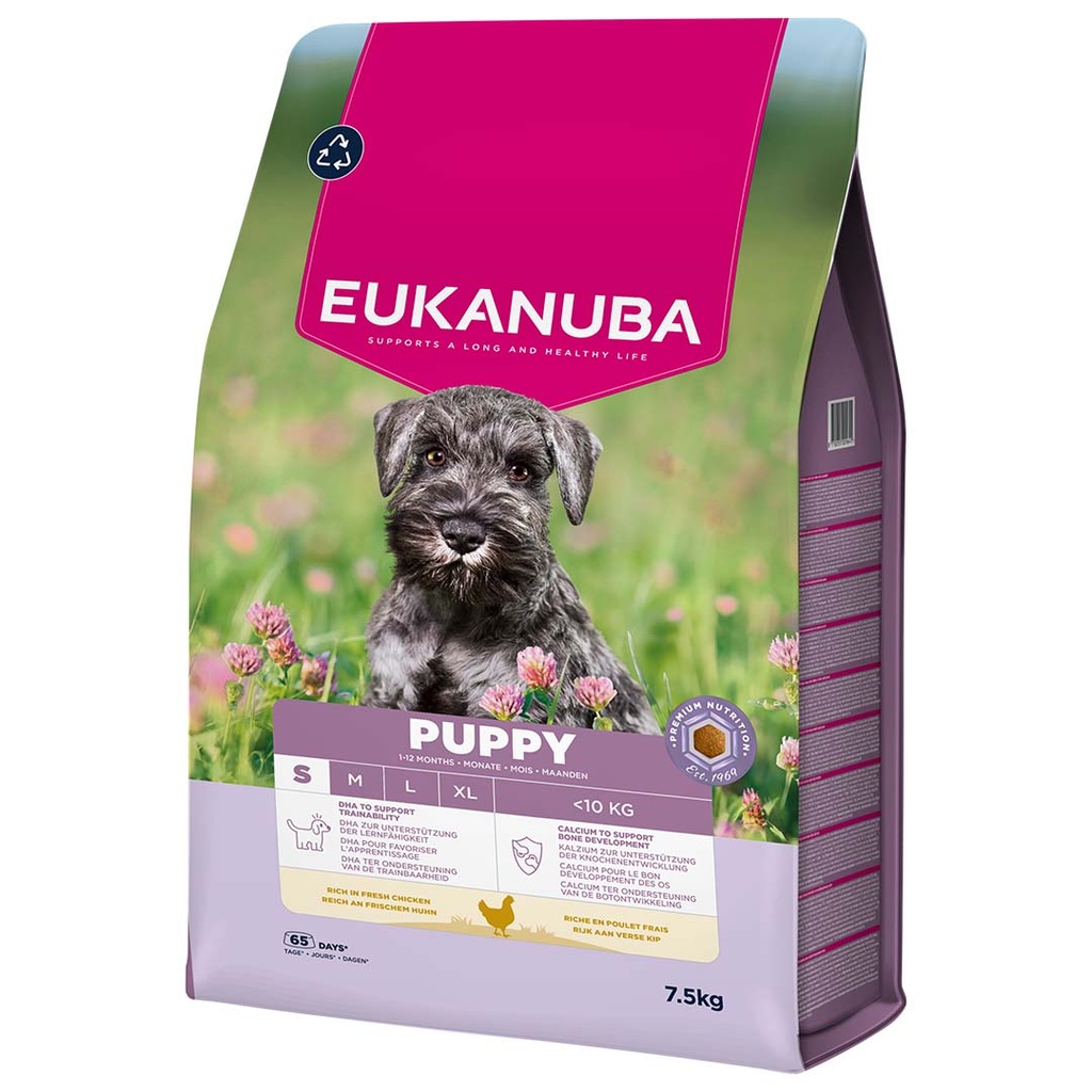 Breeder Euk dog puppy small breed chicken