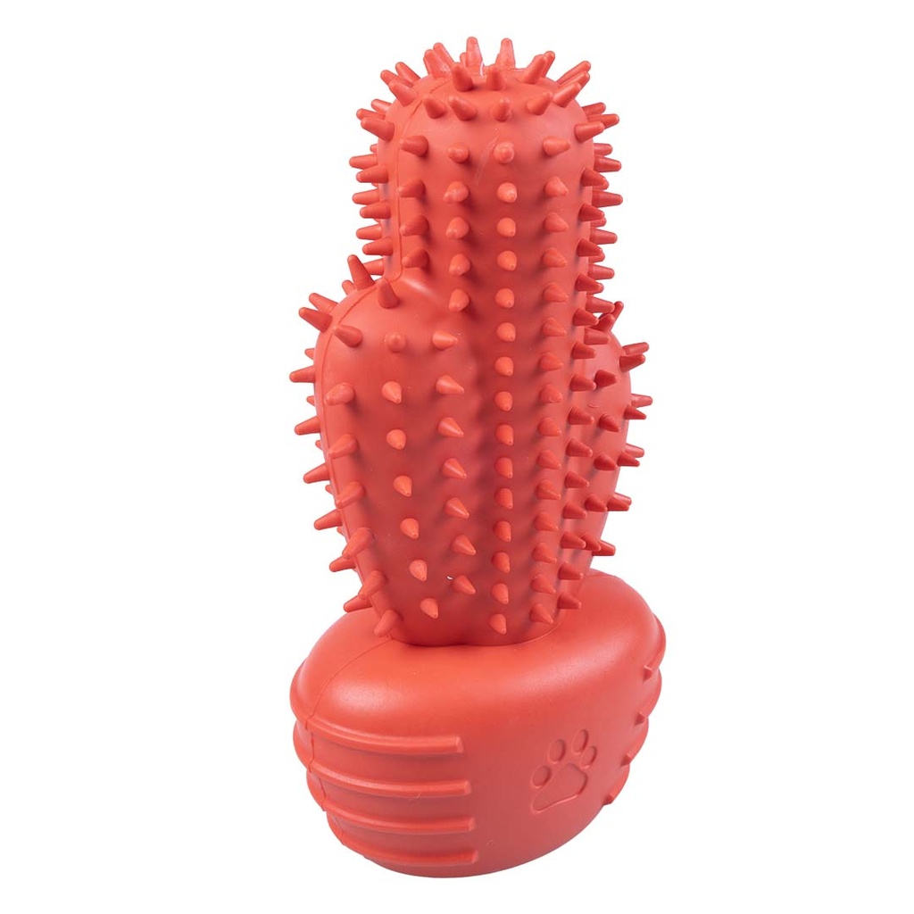 Chew toy Griplay cactus