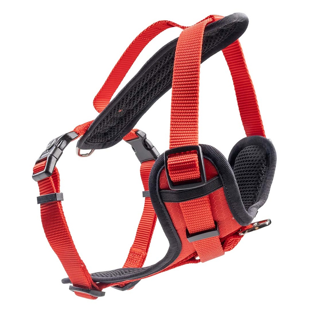CLASSIC Y-Harness