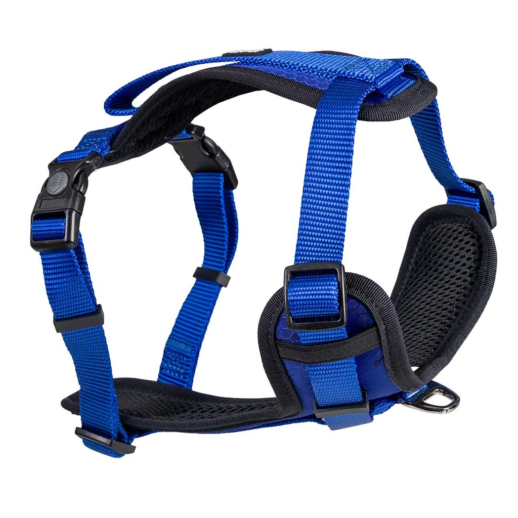 FASHION Y-Harness