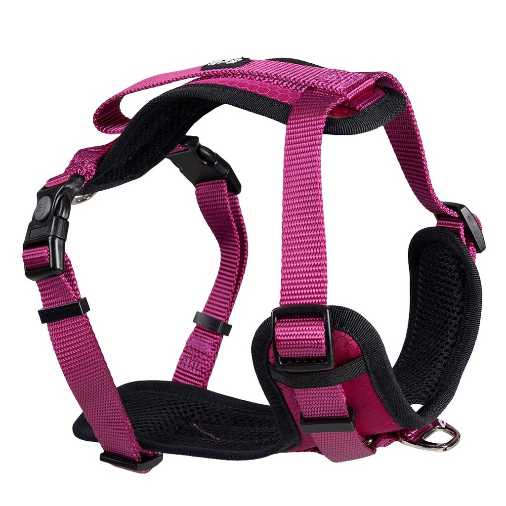 FASHION Y-Harness