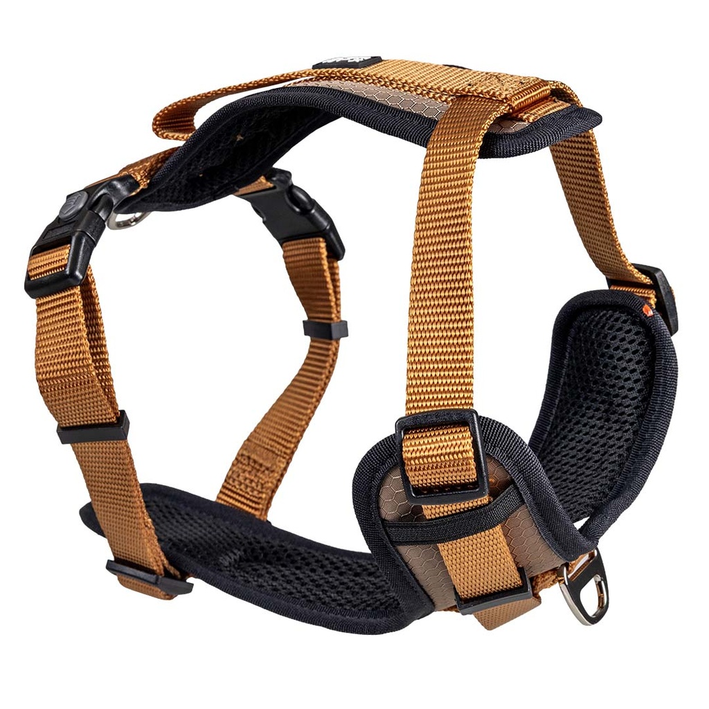 FASHION Y-Harness