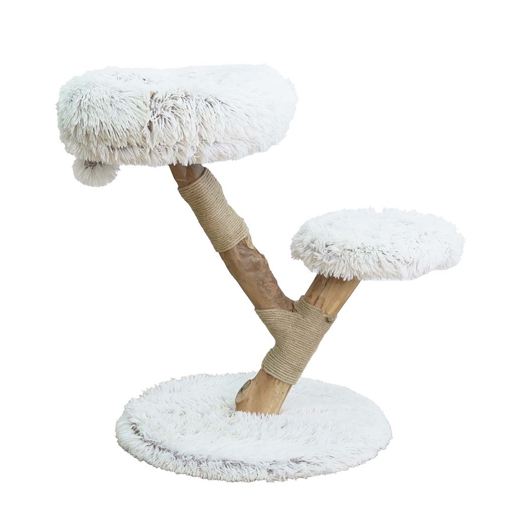 Kratzbaum Mendoza