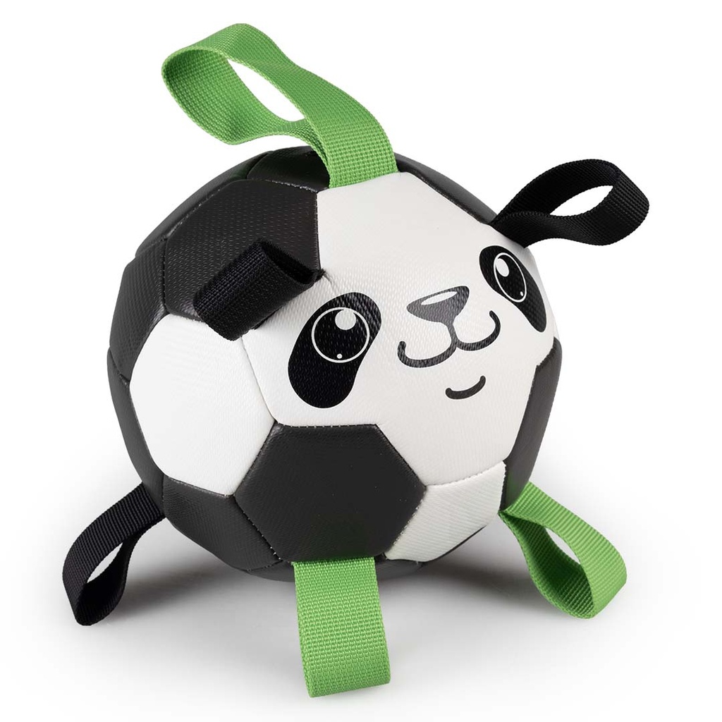 Voetbal