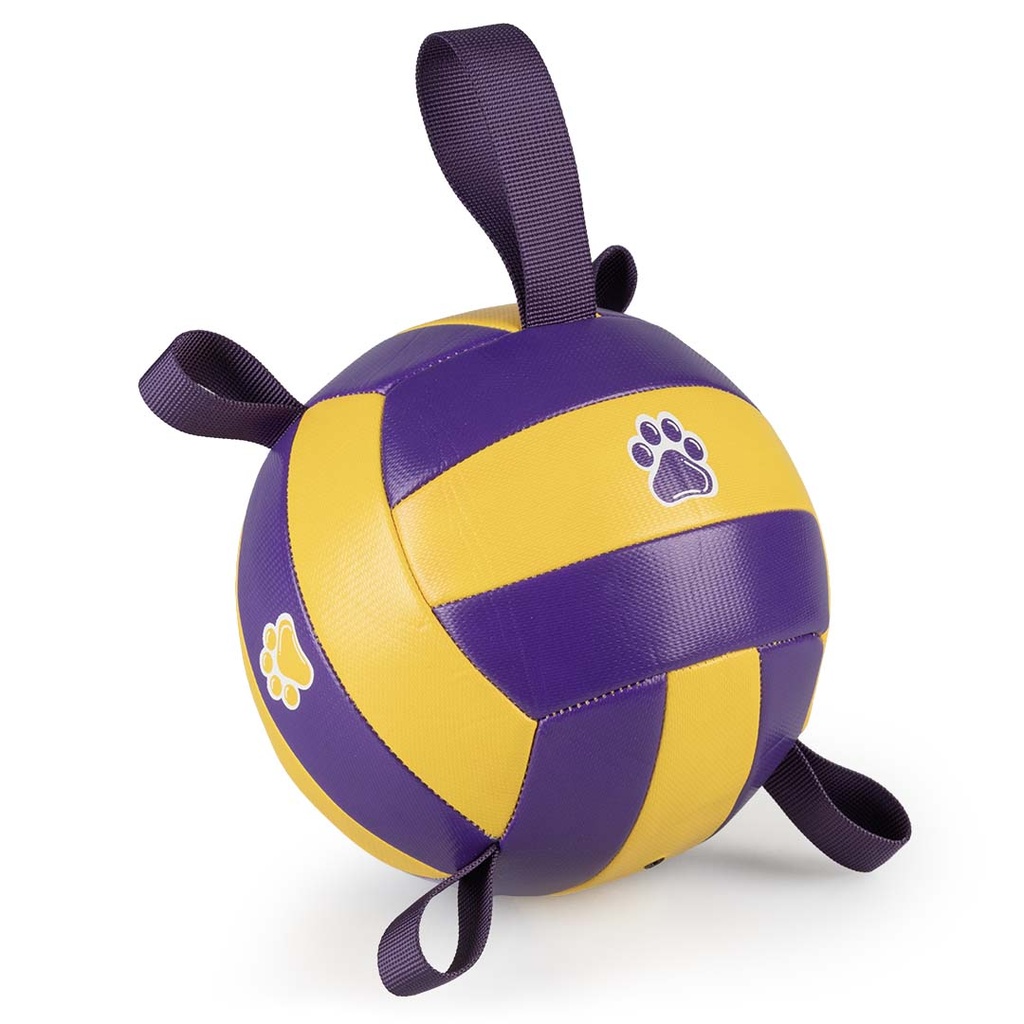 Basketbal