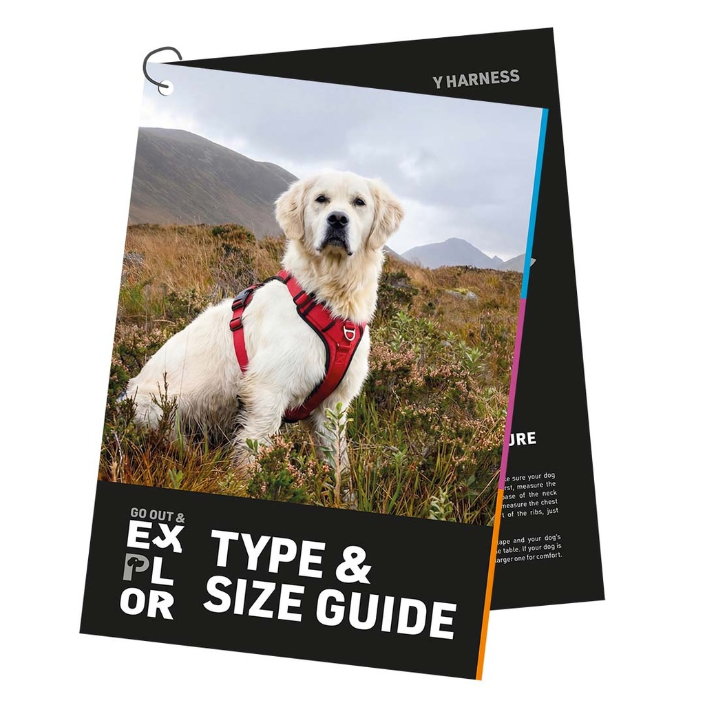 EXPLOR type&size gids ENG