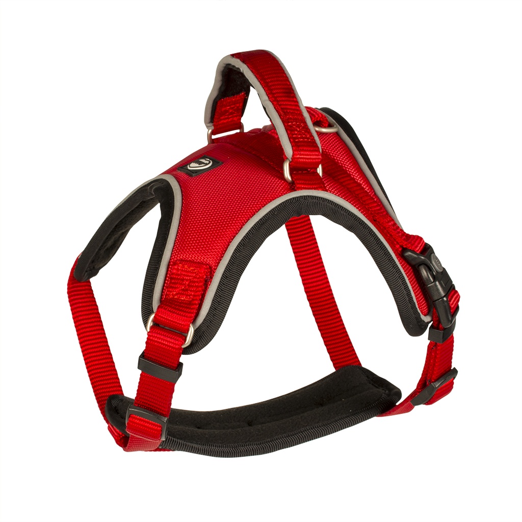 WEST HARNESS NYLON