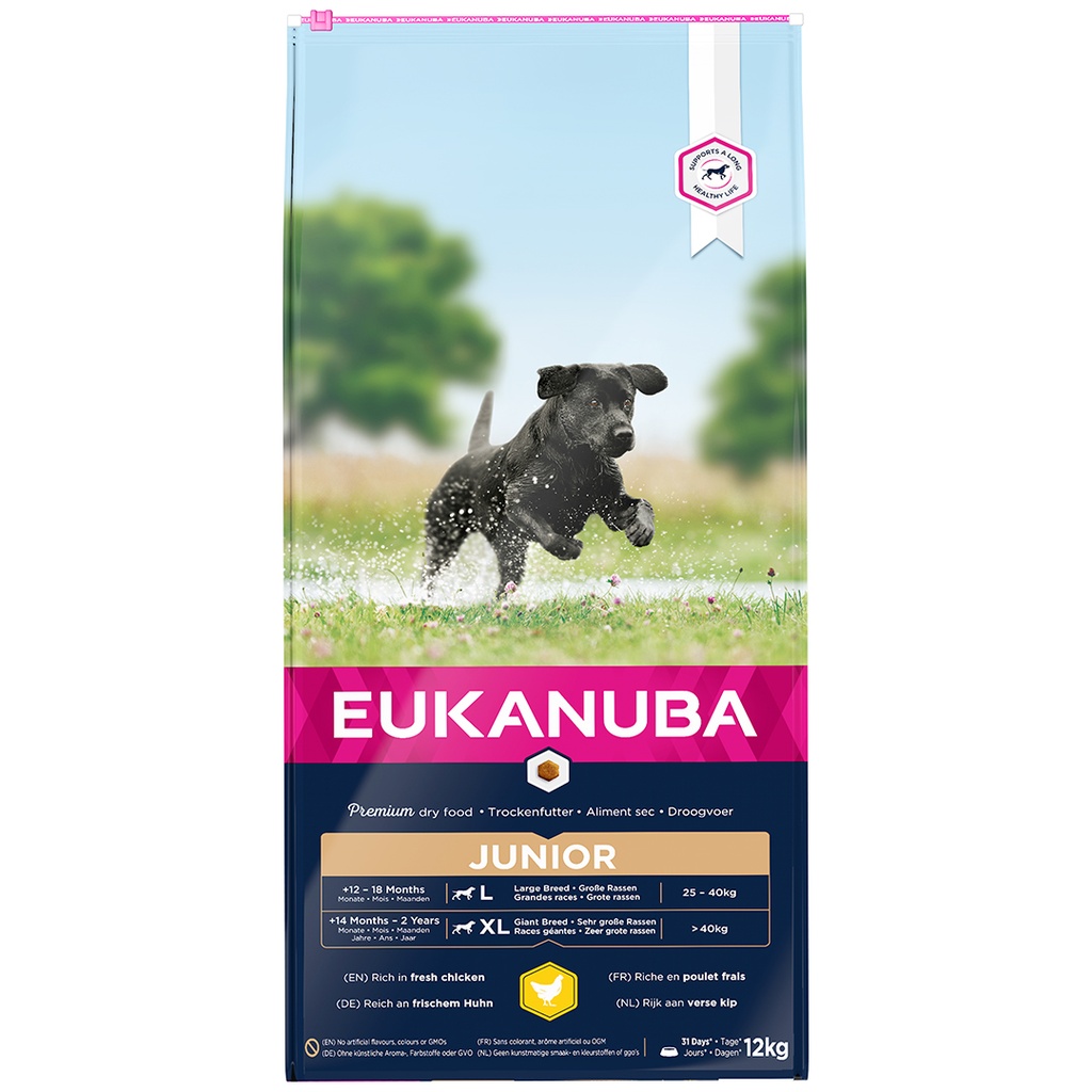 Euk dog developing junior large breed