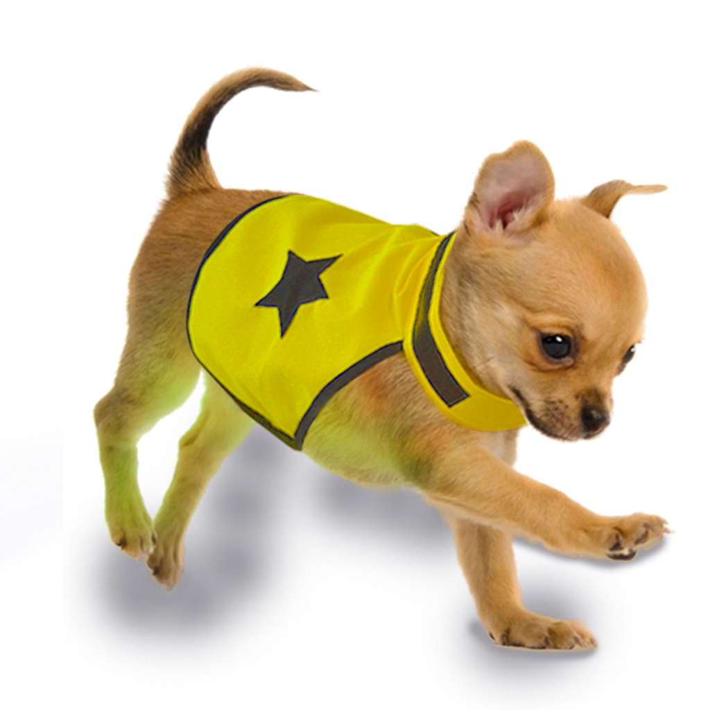 Safety Jacket Fluo