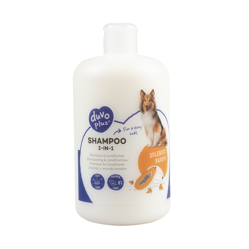 Shampoo 2-In-1