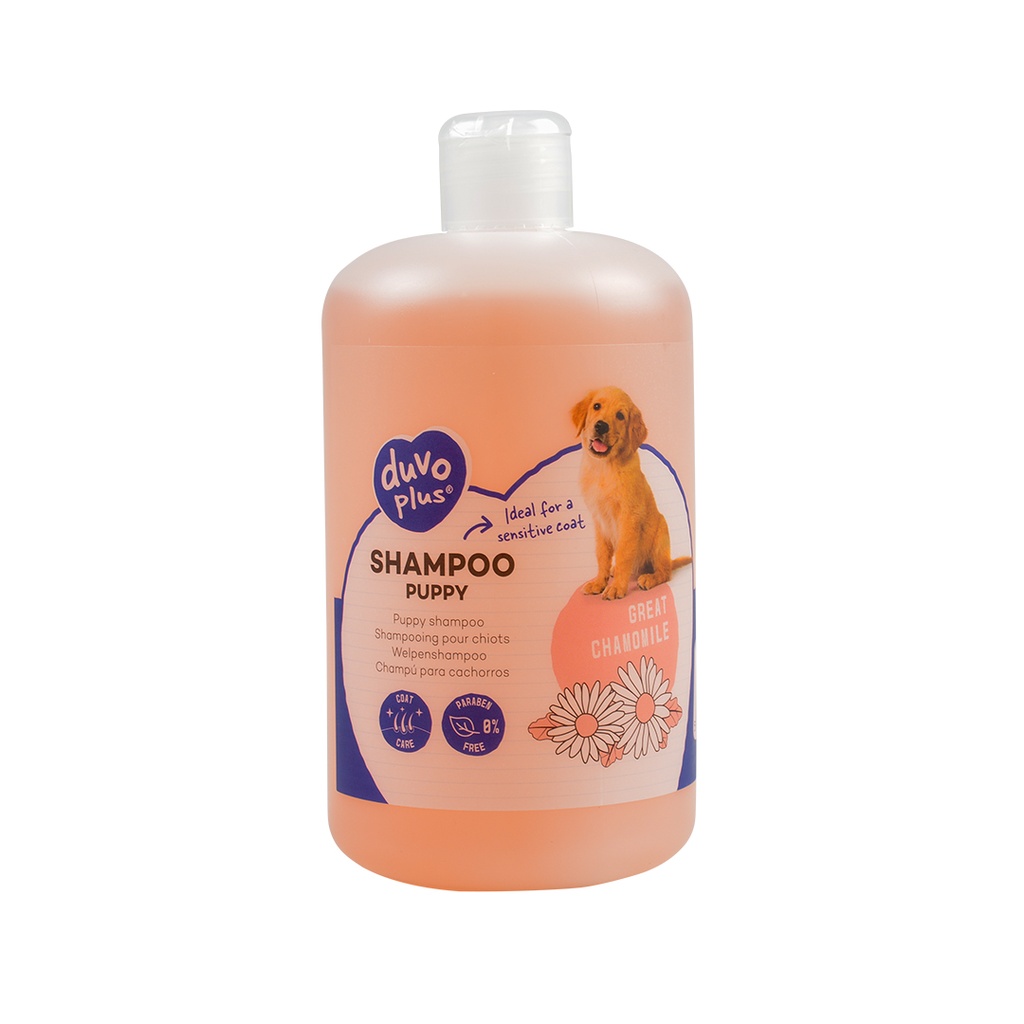 Shampoo Welpen