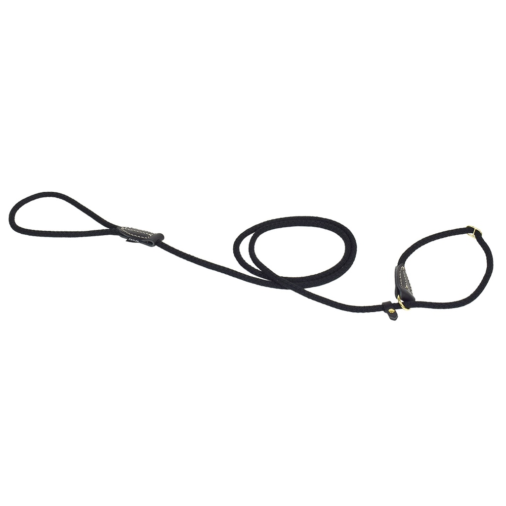 EXPLOR Forest laisse de dressage nylon