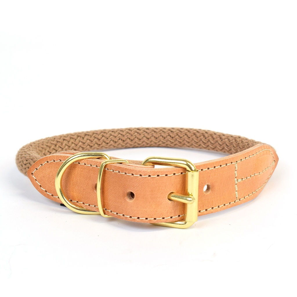 EXPLOR Forest collar nylon