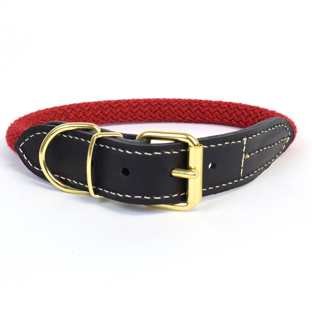 EXPLOR Forest collar nylon