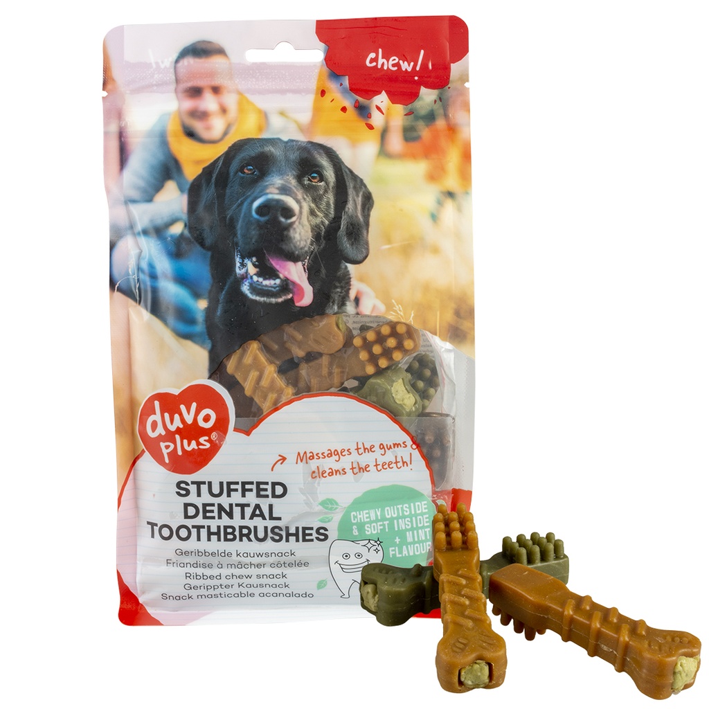 chew! Stuffed dental toothbrushes