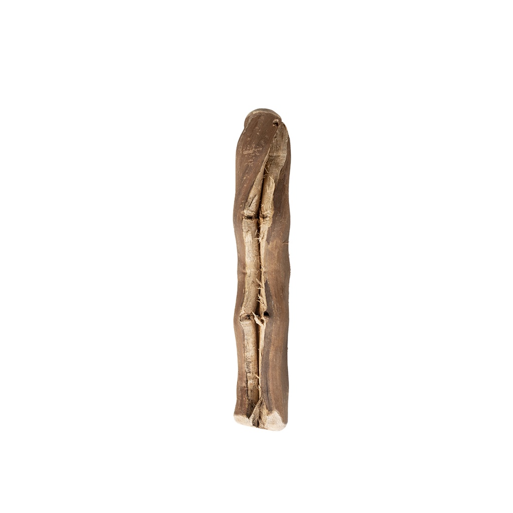 Wijnstok ECO