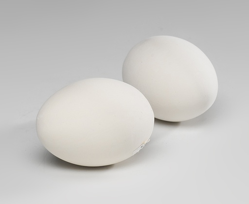 [1635] OEUFS EN PLASTIQUE CREUX, 20PCS