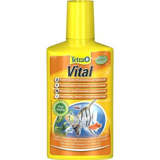 [203771499] Vital