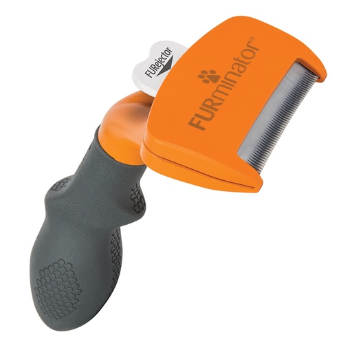 [205141372] Hund undercoat kurzhaar [orange (Orange)]
