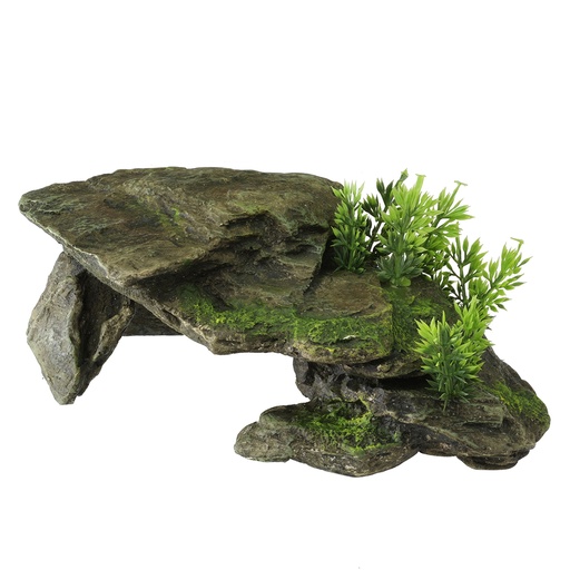 [234/105283] Stone with plants [gris (Gris)]