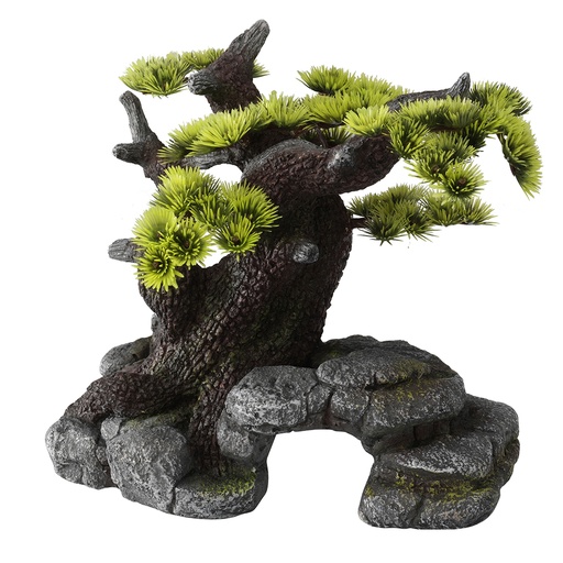 [234/105320] Bonsai
