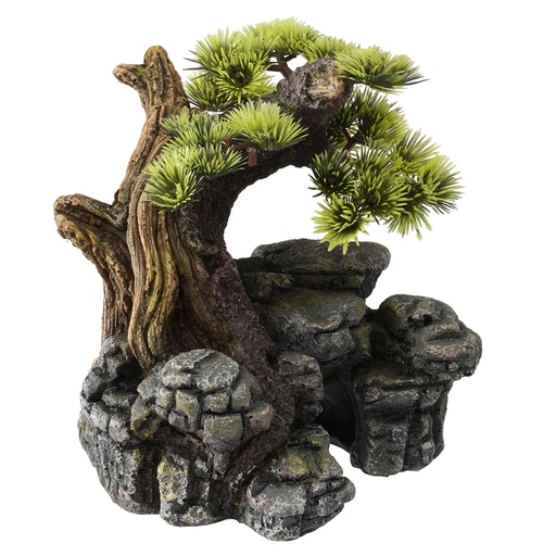 [234/105337] Bonsai