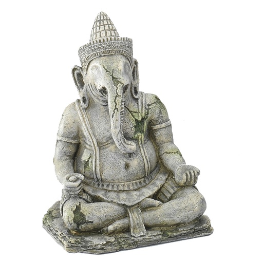 [234/194805] Angkorgod