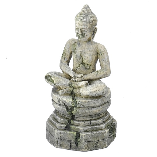 [234/194812] Bayon boeda 1
