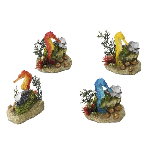 [234/410738] Seahorse with plant