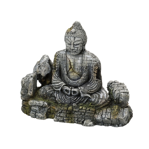 [234/420041] Buddha