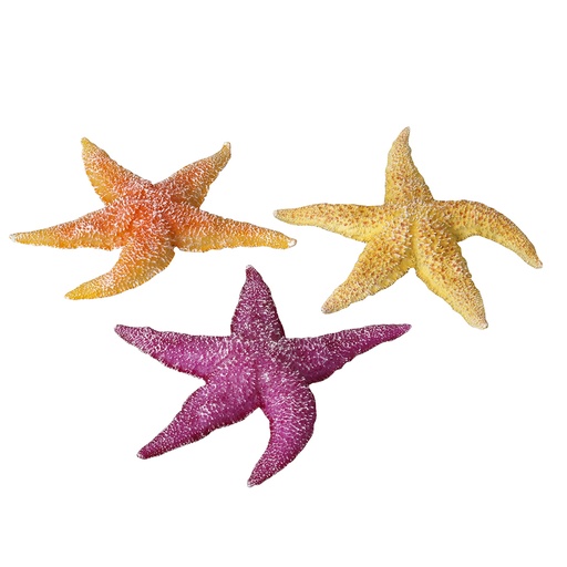 [234/421000] Real Sea Star Assorted