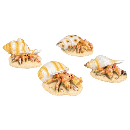[234/421017] Hermit crab