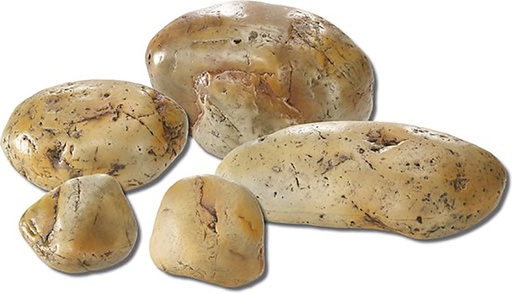 [234/421918] Wax Stone -1 26X20X17Cm [gelb (Gelb)]