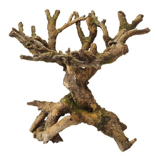 [234/423523] Bonsai [marron (Marron)]
