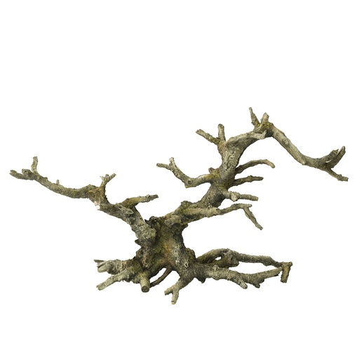 [234/424087] Bonsai sans feuilles [gris (Gris)]