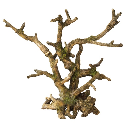 [234/424094] Bonsai sans feuilles [marron (Marron)]