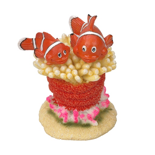 [234/426982] Clownfish 5
