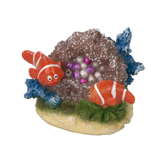 [234/427019] Clownfish 8