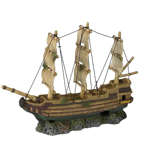 [234/429563] Magnet ghostship 2