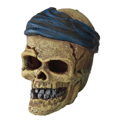 [234/430101] Pirate skull headcrack