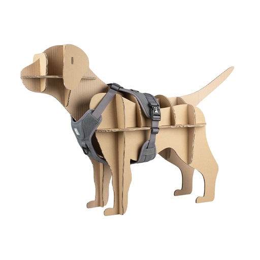 [A746] Modelhond Explor UF Groot
