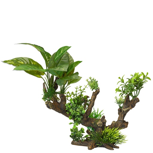 [234/432099] Florascape 5